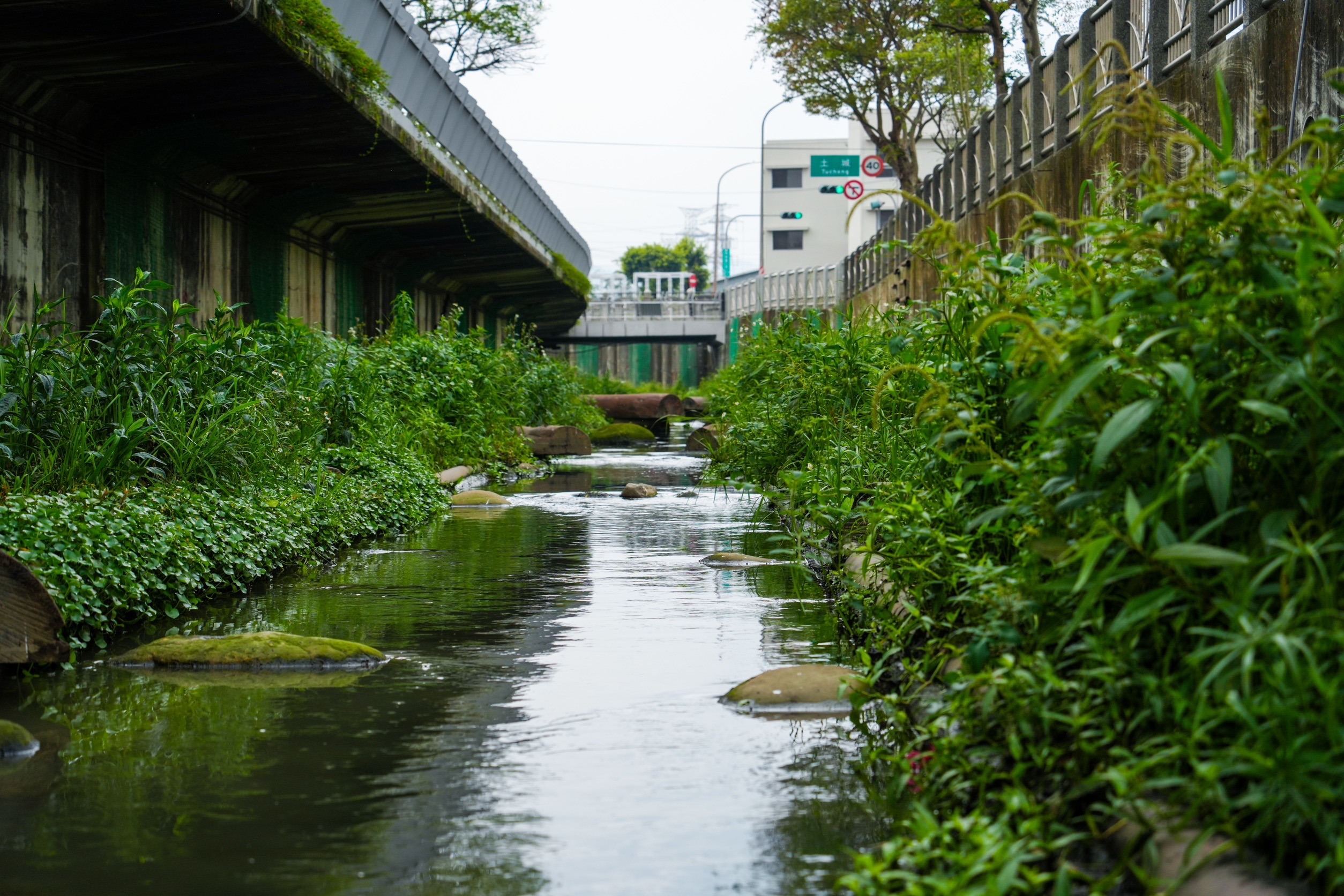  藤寮坑溝二期設置原木壩及擾流工,並在渠底增設10處深潭,藉此提供魚類棲息地